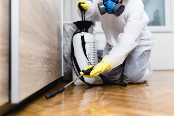  Port Jervis, NY Pest Control Pros