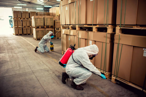 Best Best Pest Control Companies  in Port Jervis, NY