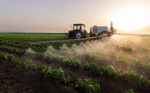 Best Mosquito Control Services  in Port Jervis, NY