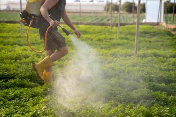 Best Best Pest Control Companies  in Port Jervis, NY