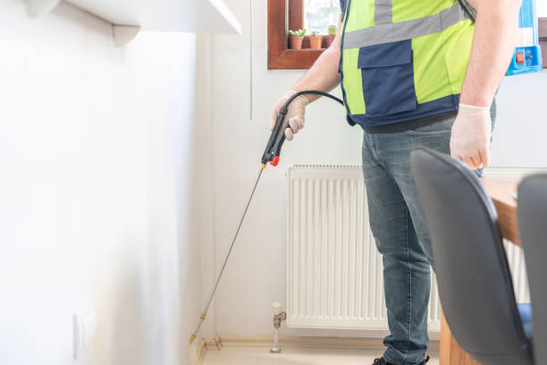 Best Ant Control Services  in Port Jervis, NY
