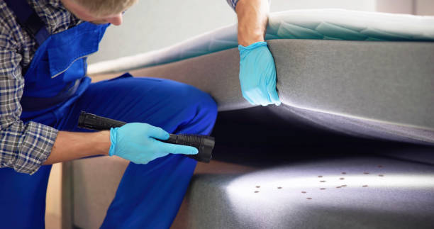 Best Rat Extermination Near Me  in Port Jervis, NY