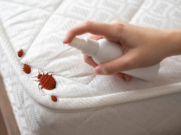 Best Commercial Pest Control Services  in Port Jervis, NY