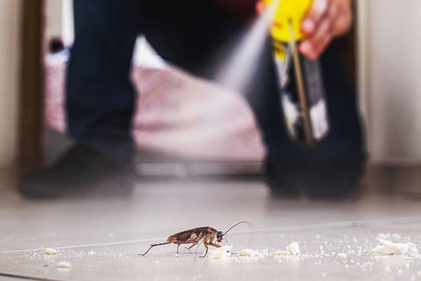 Best Bed Bug Extermination  in Port Jervis, NY