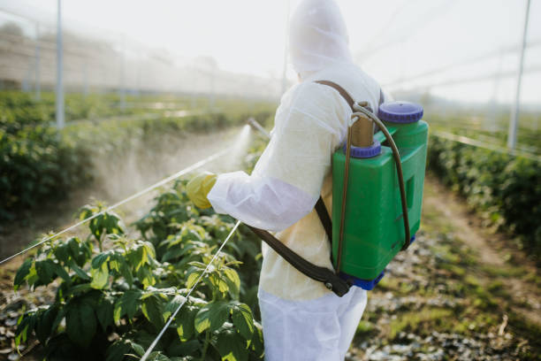 Best Pest Control for Businesses  in Port Jervis, NY